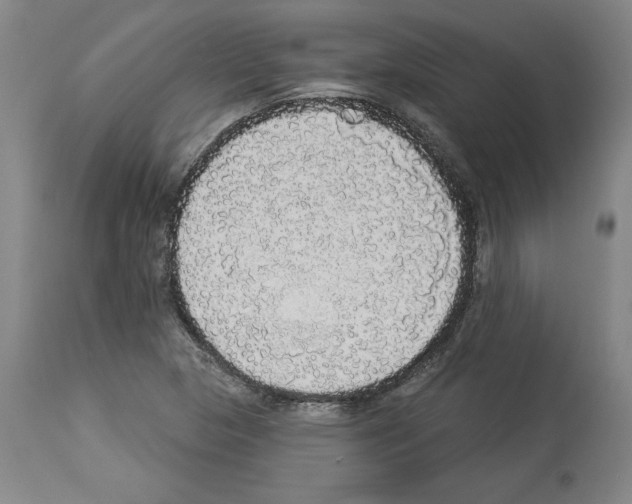 X0000112911313200910051033