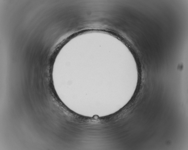 X0000112911315200910051033