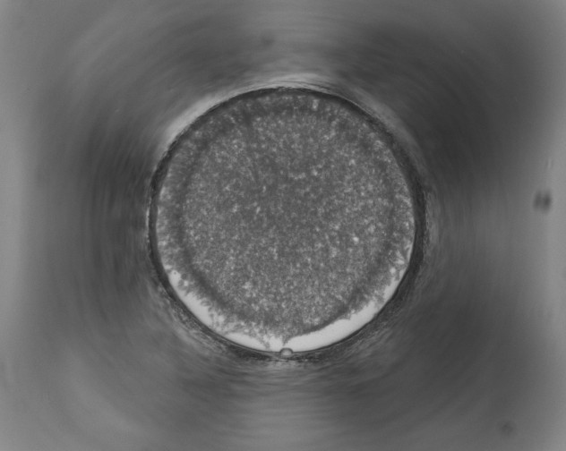 X0000112911316200910051033