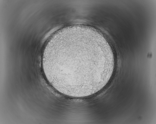 X0000112911317200910051033