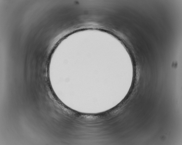 X0000112911318200910051033