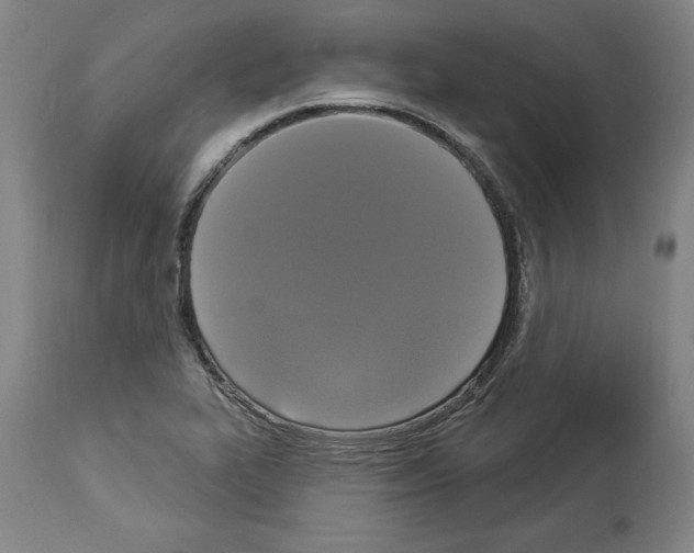 X0000112911319200910051033