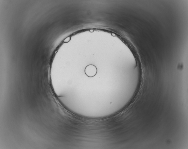 X0000112911320200910051033