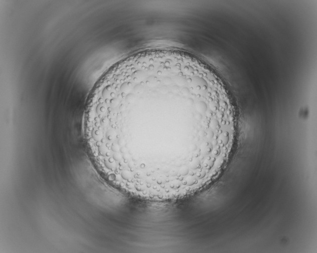 X0000112911322200910051033
