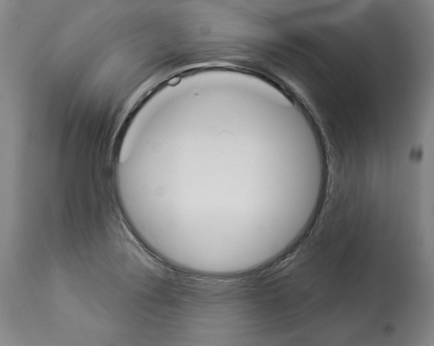 X0000112911324200910051033