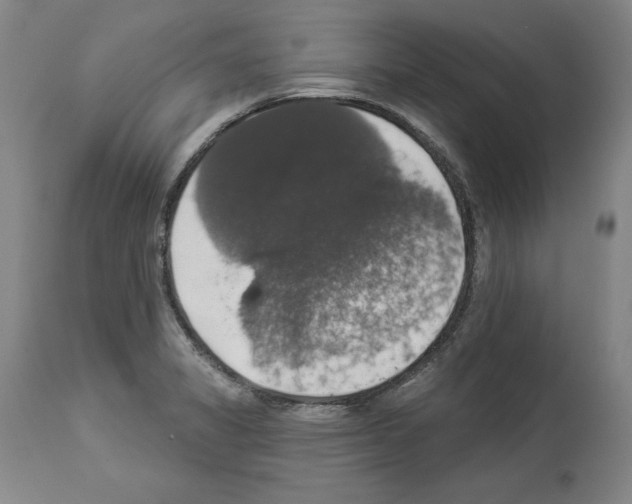 X0000112911325200910051033