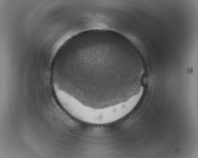 X0000112911326200910051033