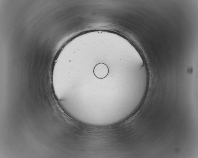 X0000112911328200910051033