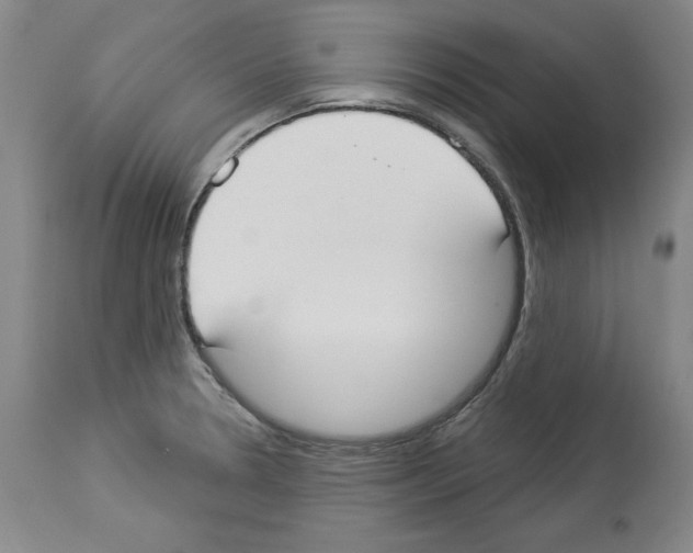 X0000112911330200910051033