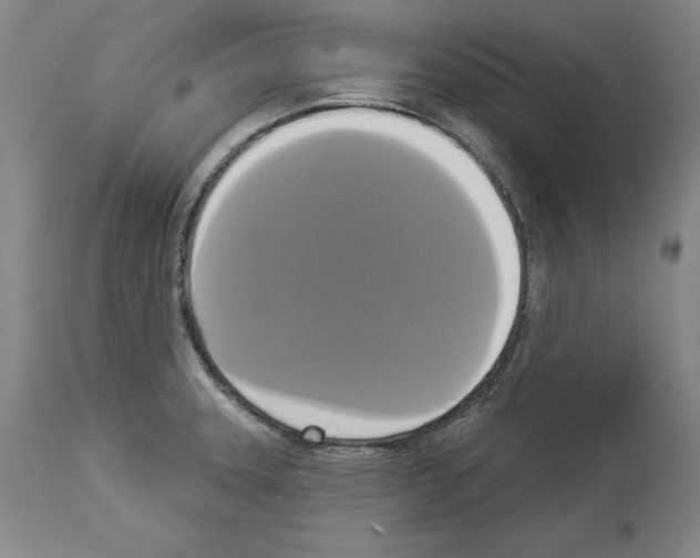 X0000112911331200910051033