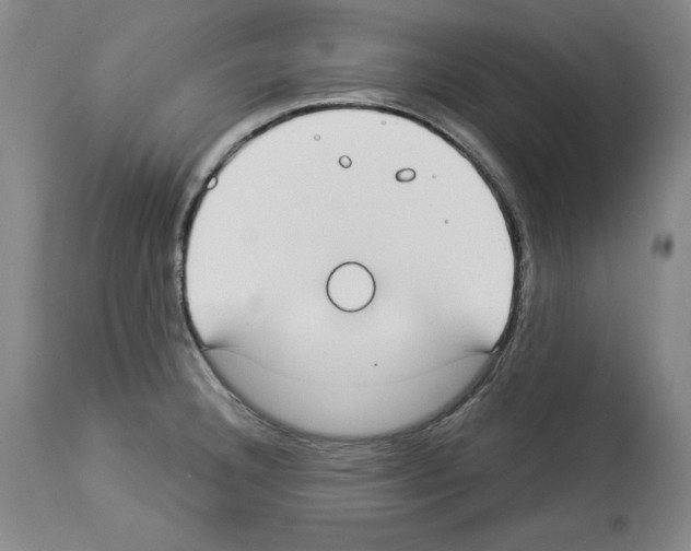 X0000112911332200910051033