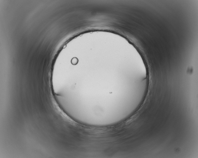 X0000112911334200910051033
