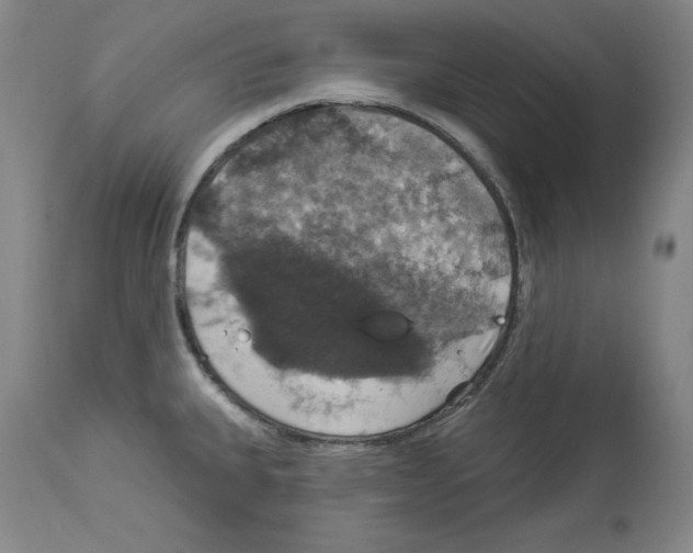 X0000112911335200910051033
