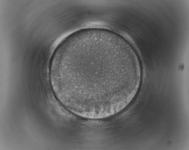 X0000112911336200910051033