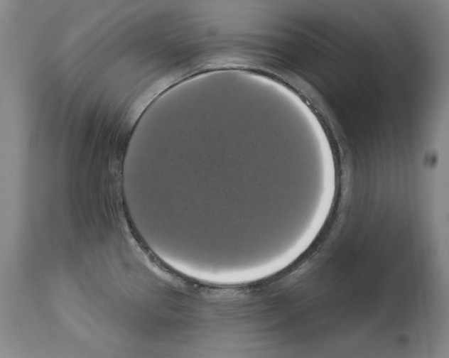 X0000112911337200910051033
