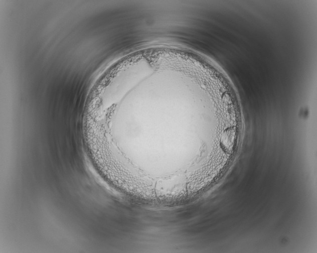 X0000112911338200910051033
