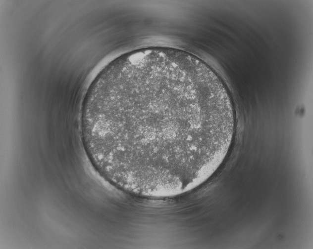 X0000112911339200910051033