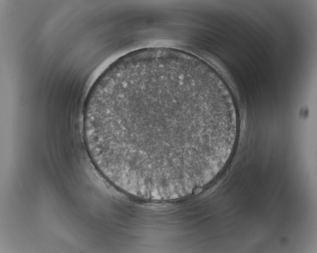 X0000112911340200910051033