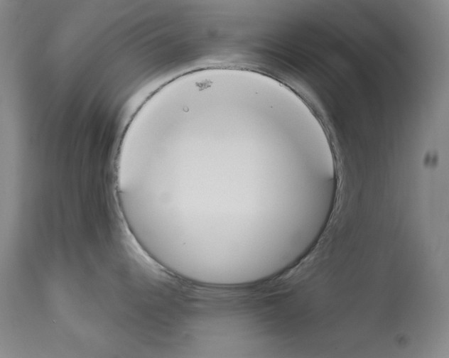 X0000112911344200910051033