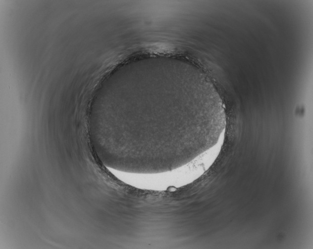 X0000112911345200910051033