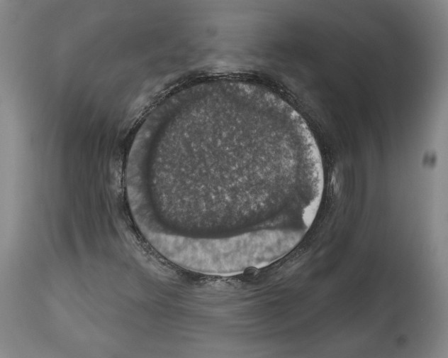 X0000112911348200910051033