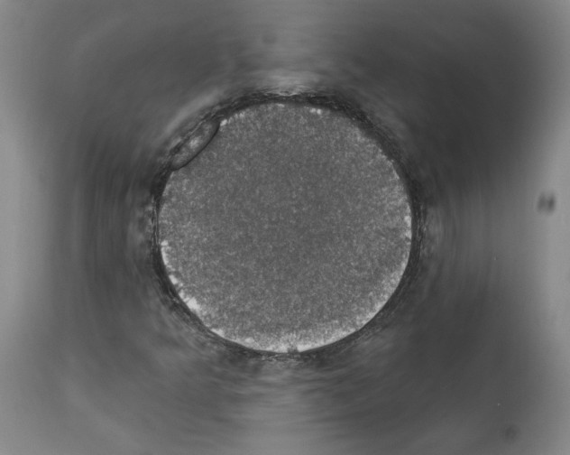 X0000112911349200910051033