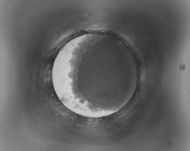 X0000112911350200910051033