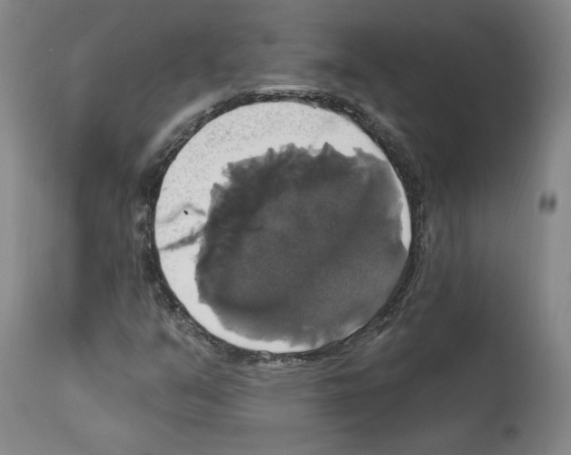 X0000112911351200910051033