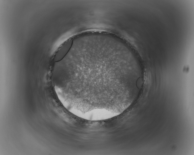 X0000112911352200910051033
