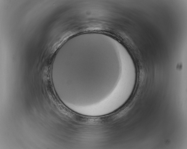 X0000112911353200910051033