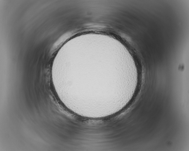 X0000112911354200910051033