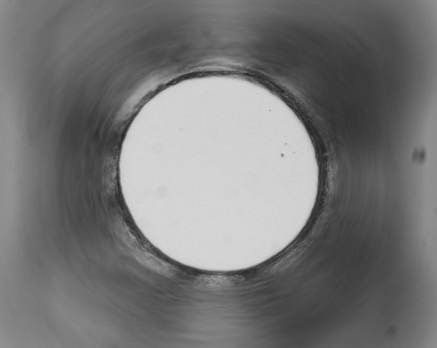 X0000112911355200910051033