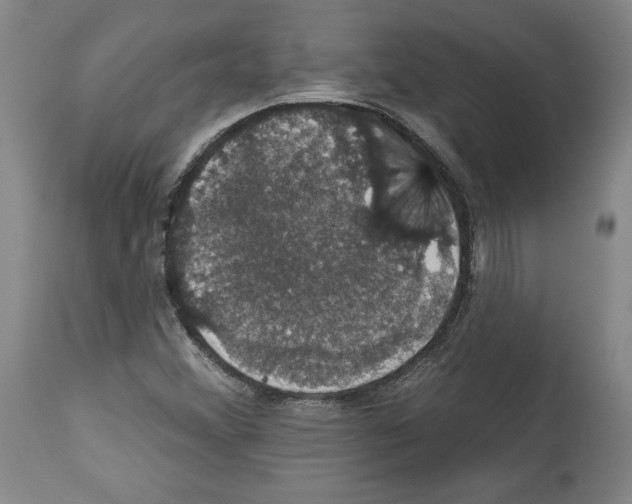 X0000112911356200910051033