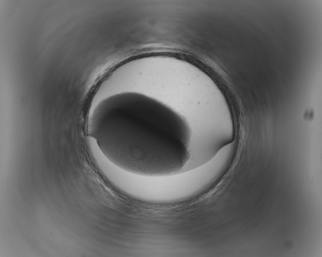 X0000112911357200910051033