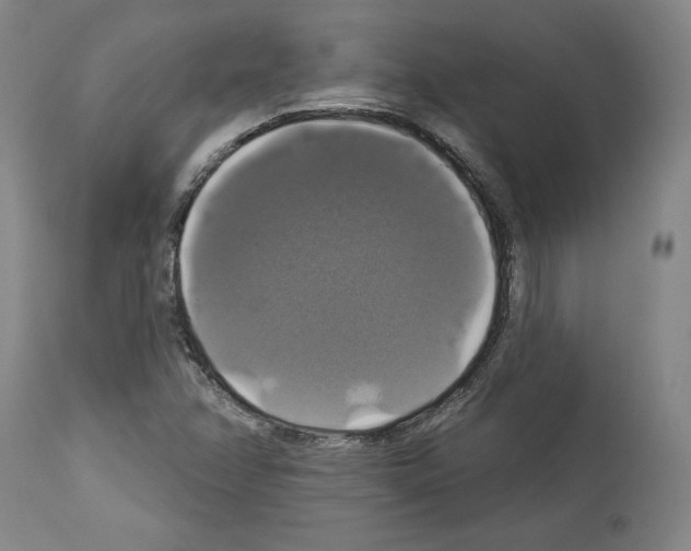 X0000112911358200910051033