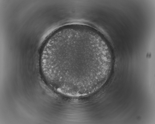 X0000112911360200910051033