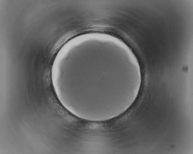 X0000112911362200910051033