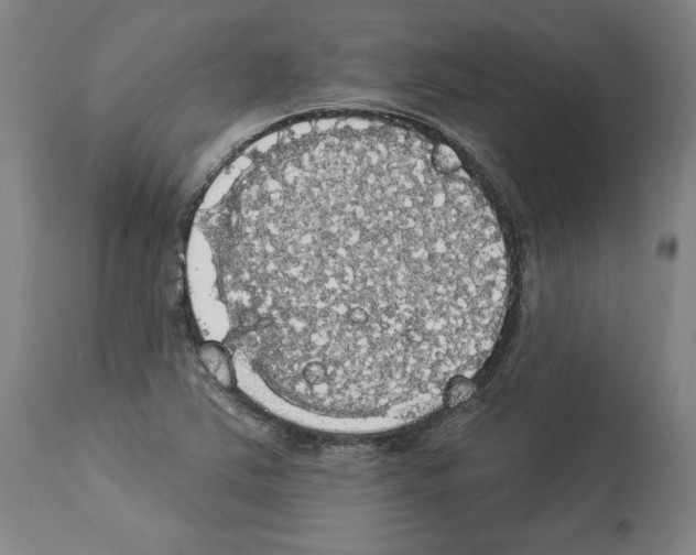 X0000112911363200910051033