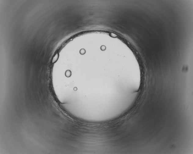 X0000112911364200910051033