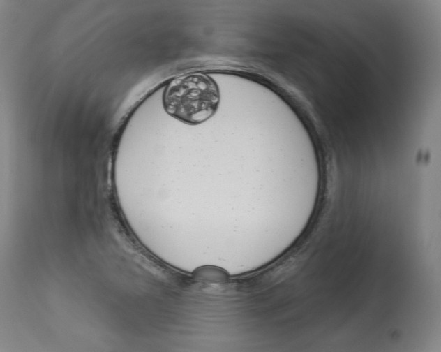 X0000112911365200910051033