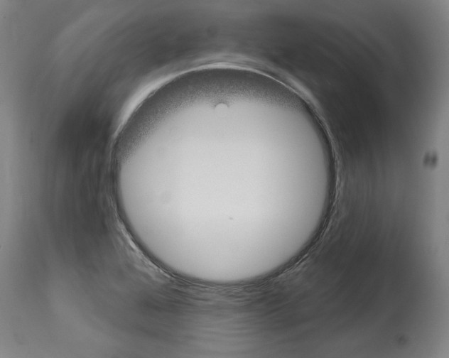 X0000112911368200910051032