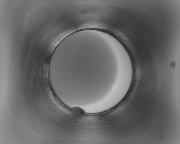 X0000112911369200910051032
