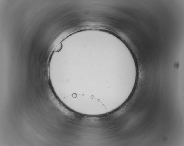 X0000112911370200910051032