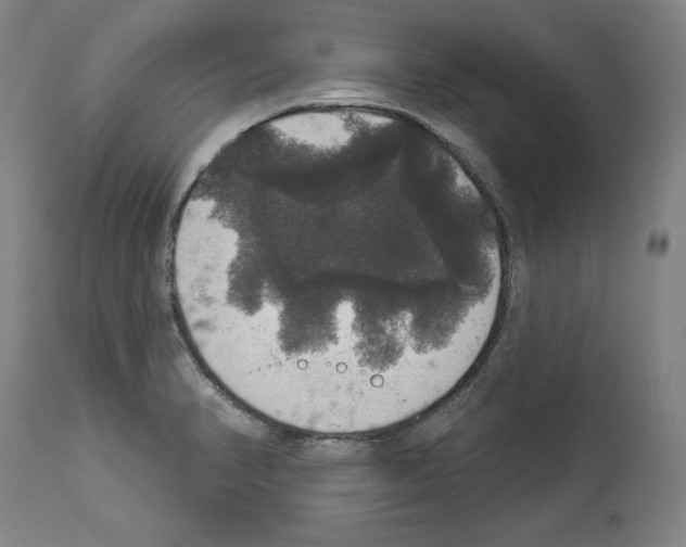 X0000112911374200910051032