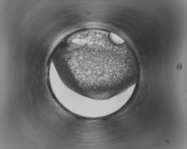 X0000112911376200910051032