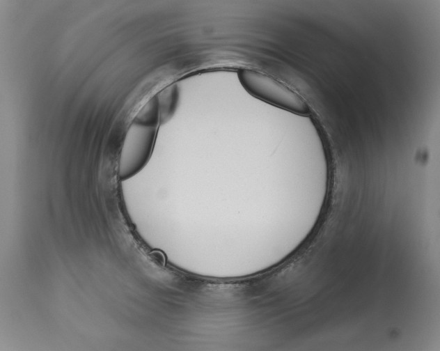 X0000112911377200910051032