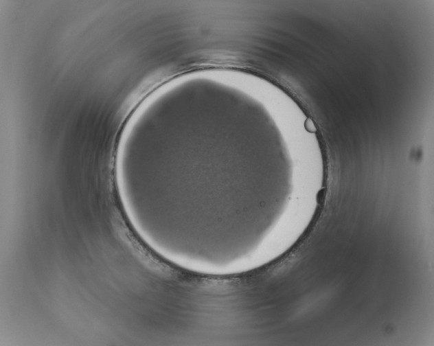 X0000112911378200910051032