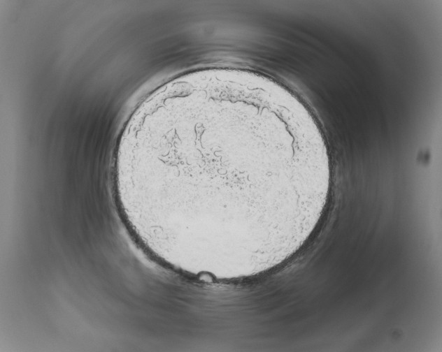 X0000112911379200910051032