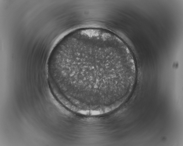 X0000112911380200910051032
