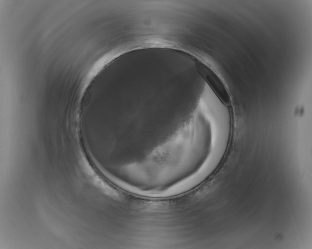 X0000112911381200910051032